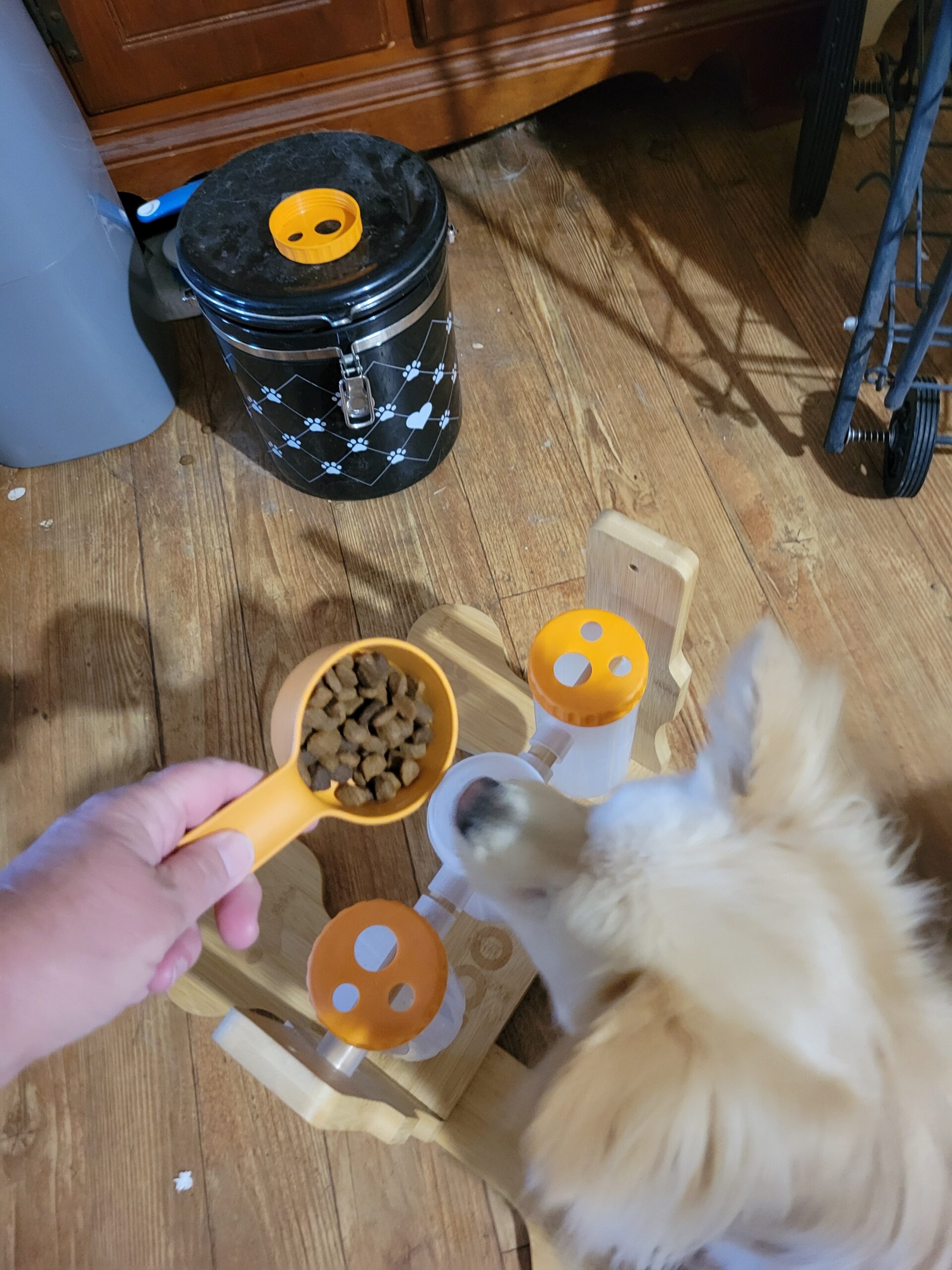 dog puzzle feeder for small dogs with orange rotating tubes on wooden base