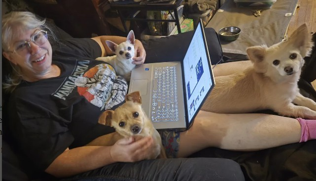 dog separation anxiety - three dogs piled on my lap while I work on the laptop