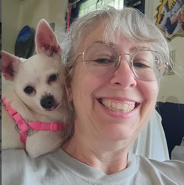 Olive the white chihuahua perched on Caryn's shoulder in her pink harness