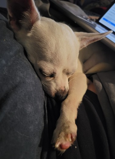 Olivia Alice asleep and settled in