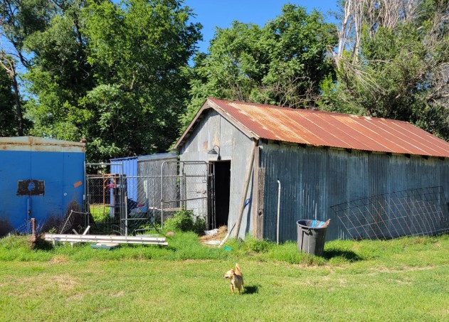 West wall of old corrugated metal barn on a small Kansas homestead with clear open pasture in front