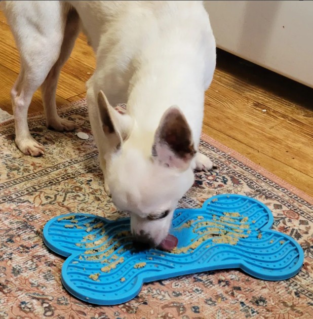 Olivia Alice eating from blue silicone lick mat